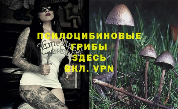 гашик Вязники