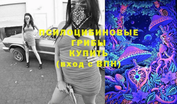 бошки Вязьма