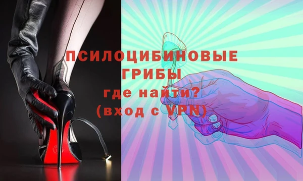 гашик Вязники